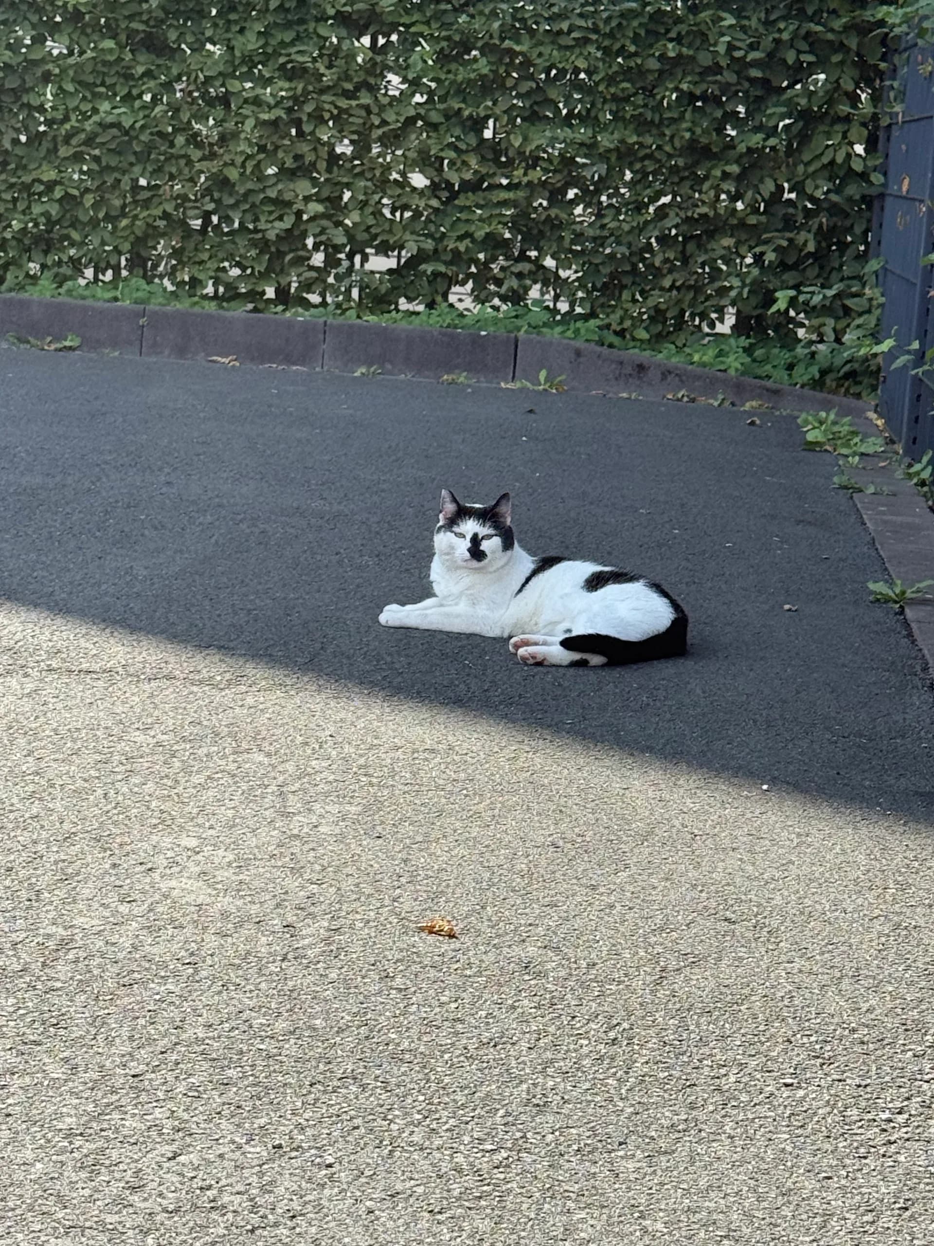 Sichtung von Uschi