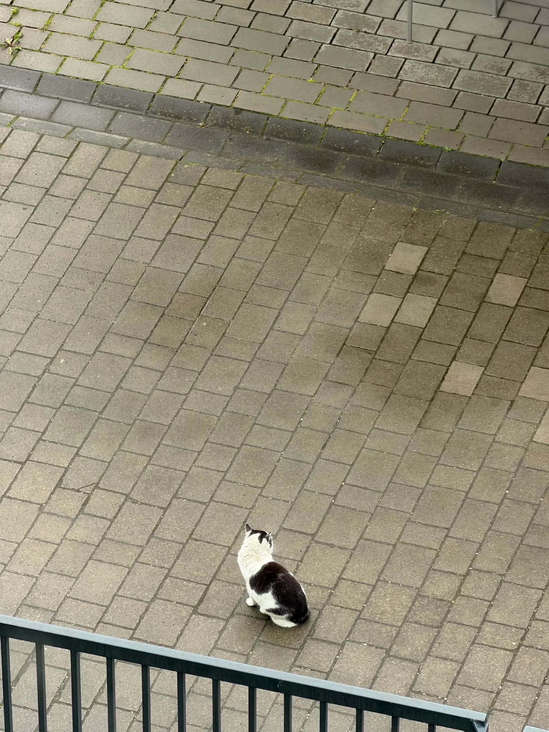 Sichtung von Uschi