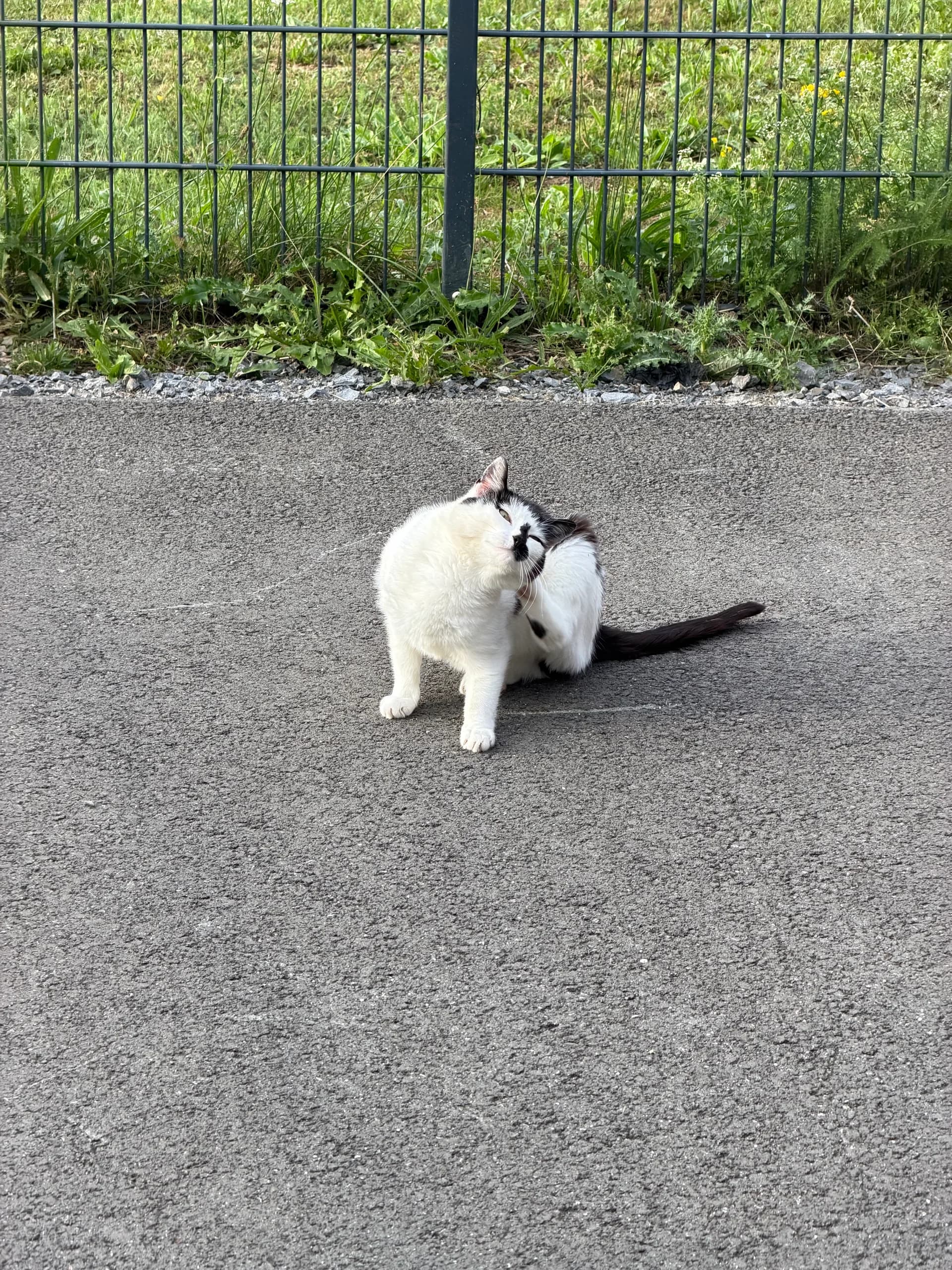 Sichtung von Uschi