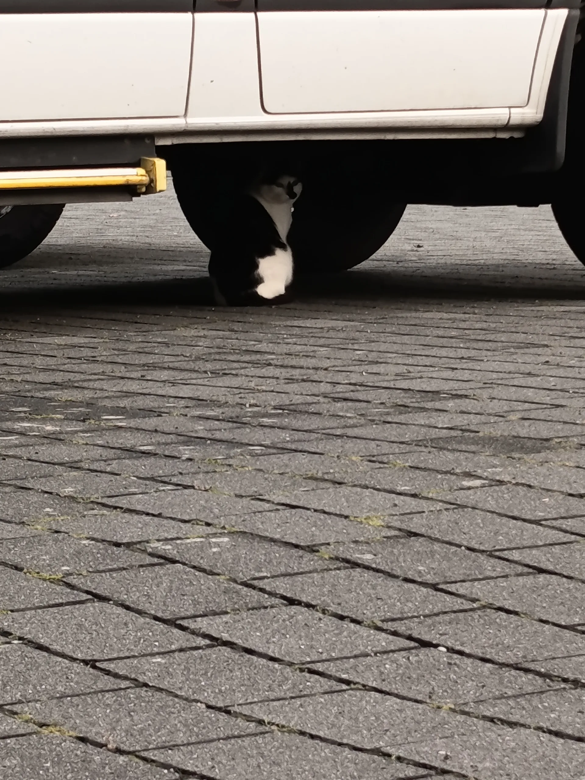 Sichtung von Uschi