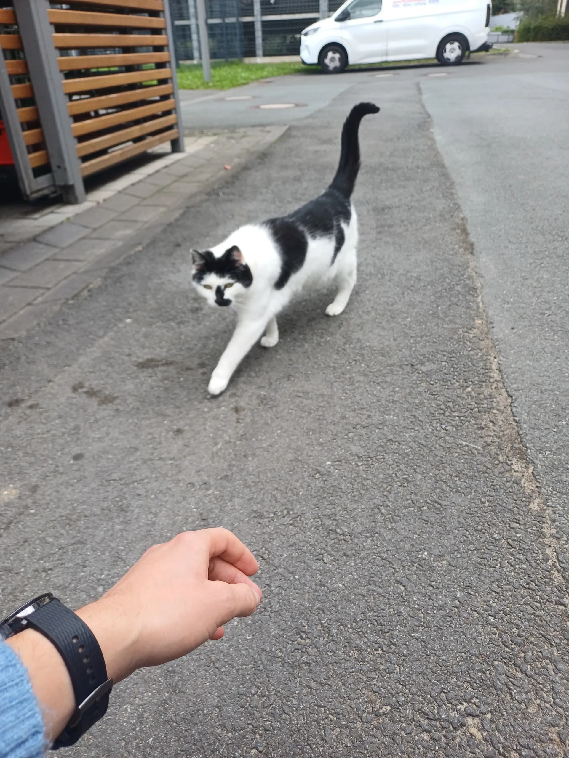 Sichtung von Uschi