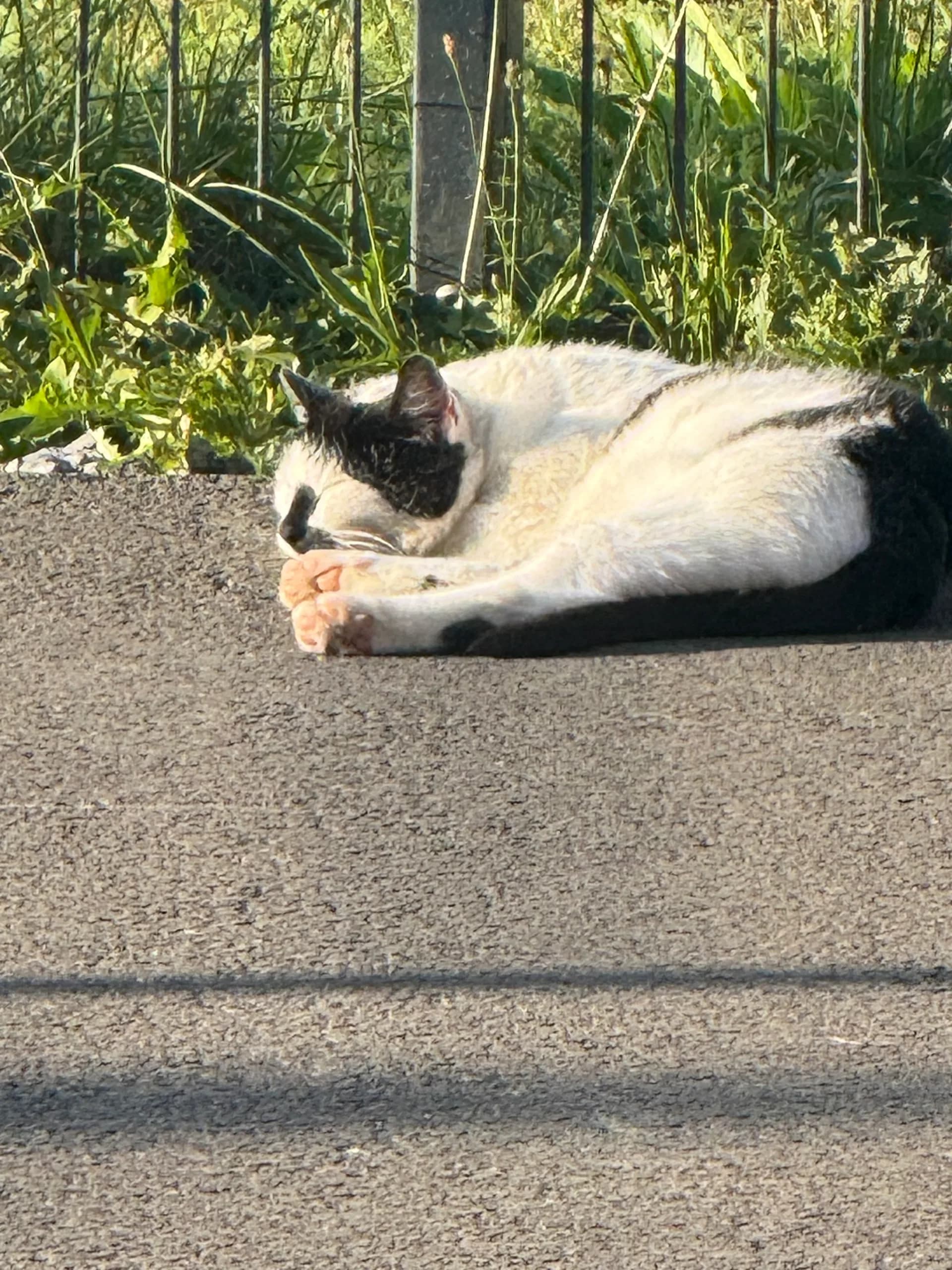Sichtung von Uschi
