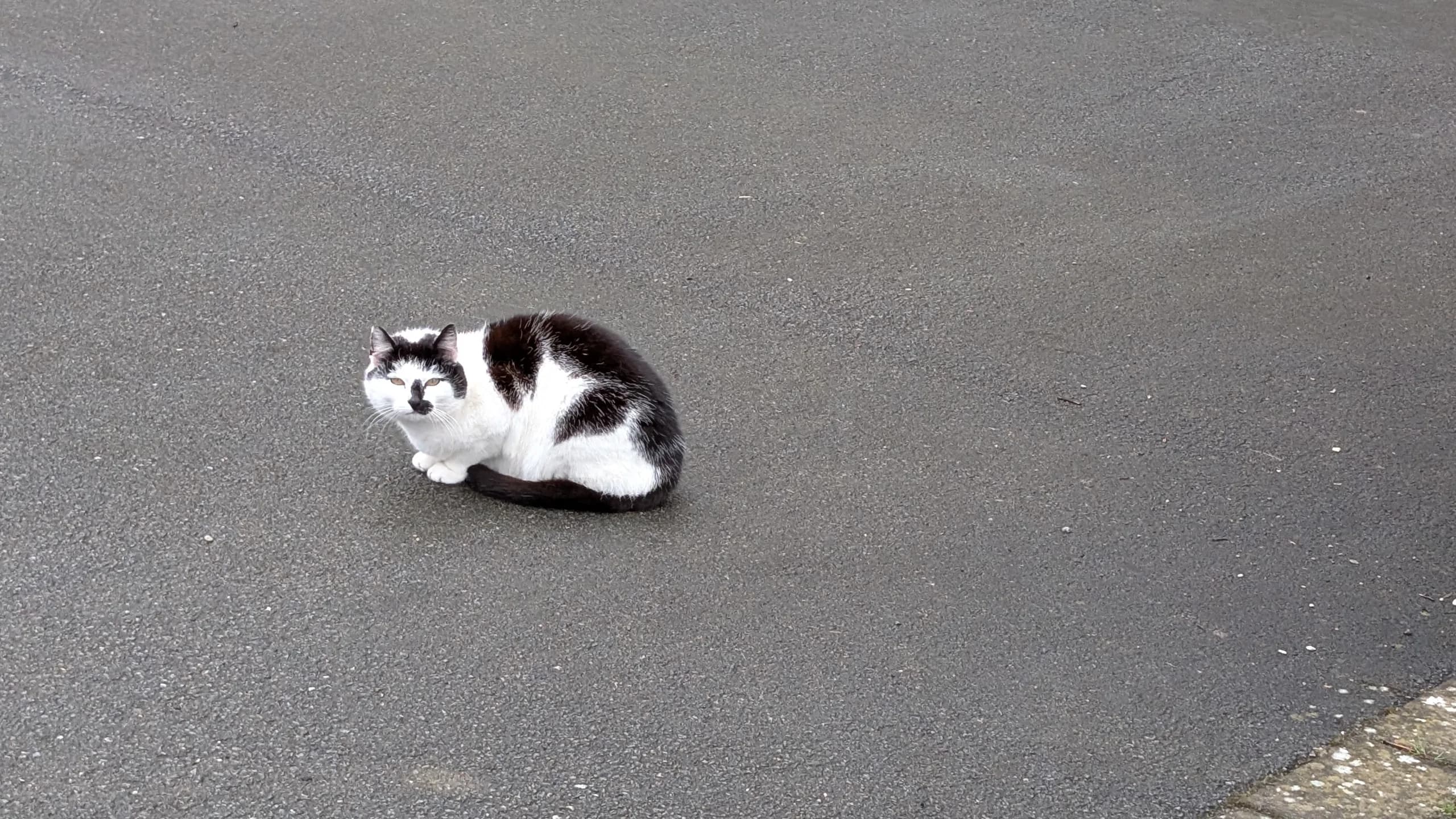 Sichtung von Uschi