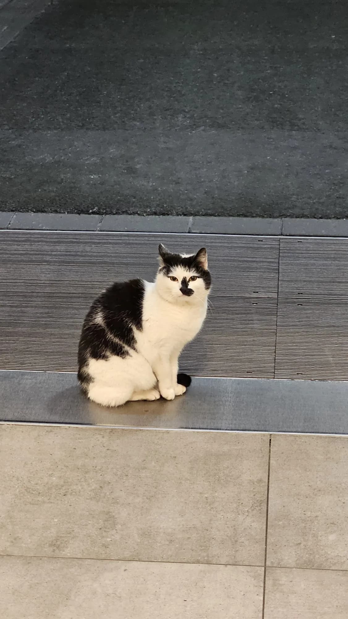 Sichtung von Uschi
