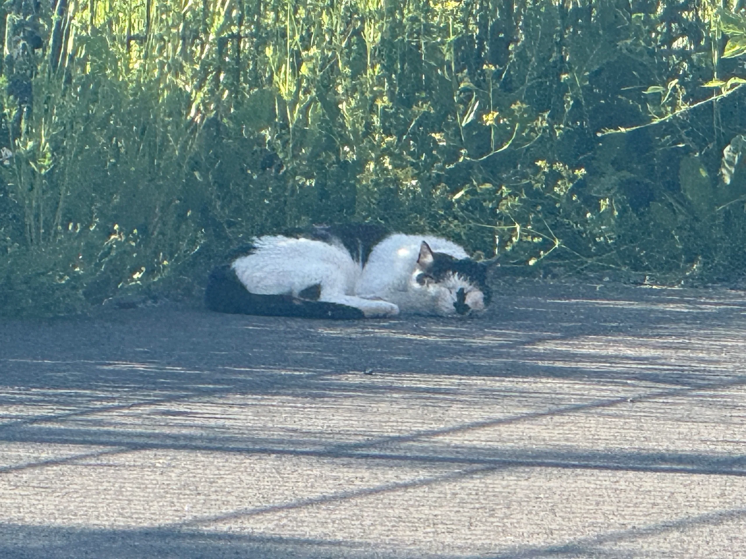 Sichtung von Uschi