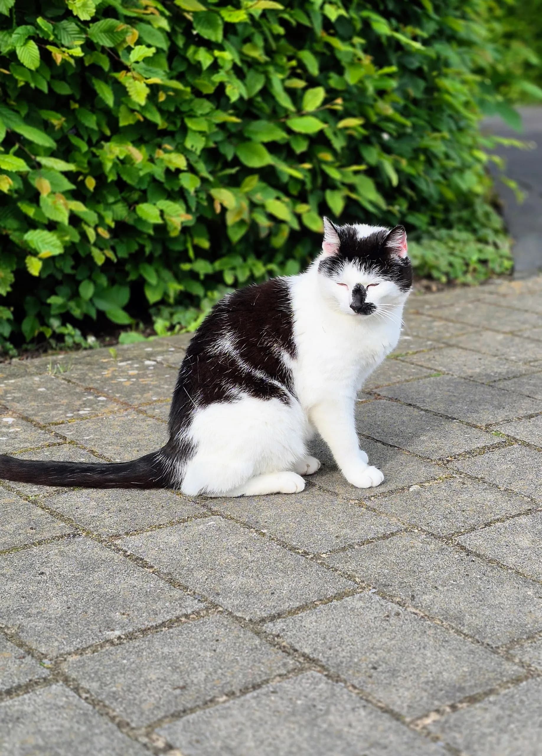 Sichtung von Uschi
