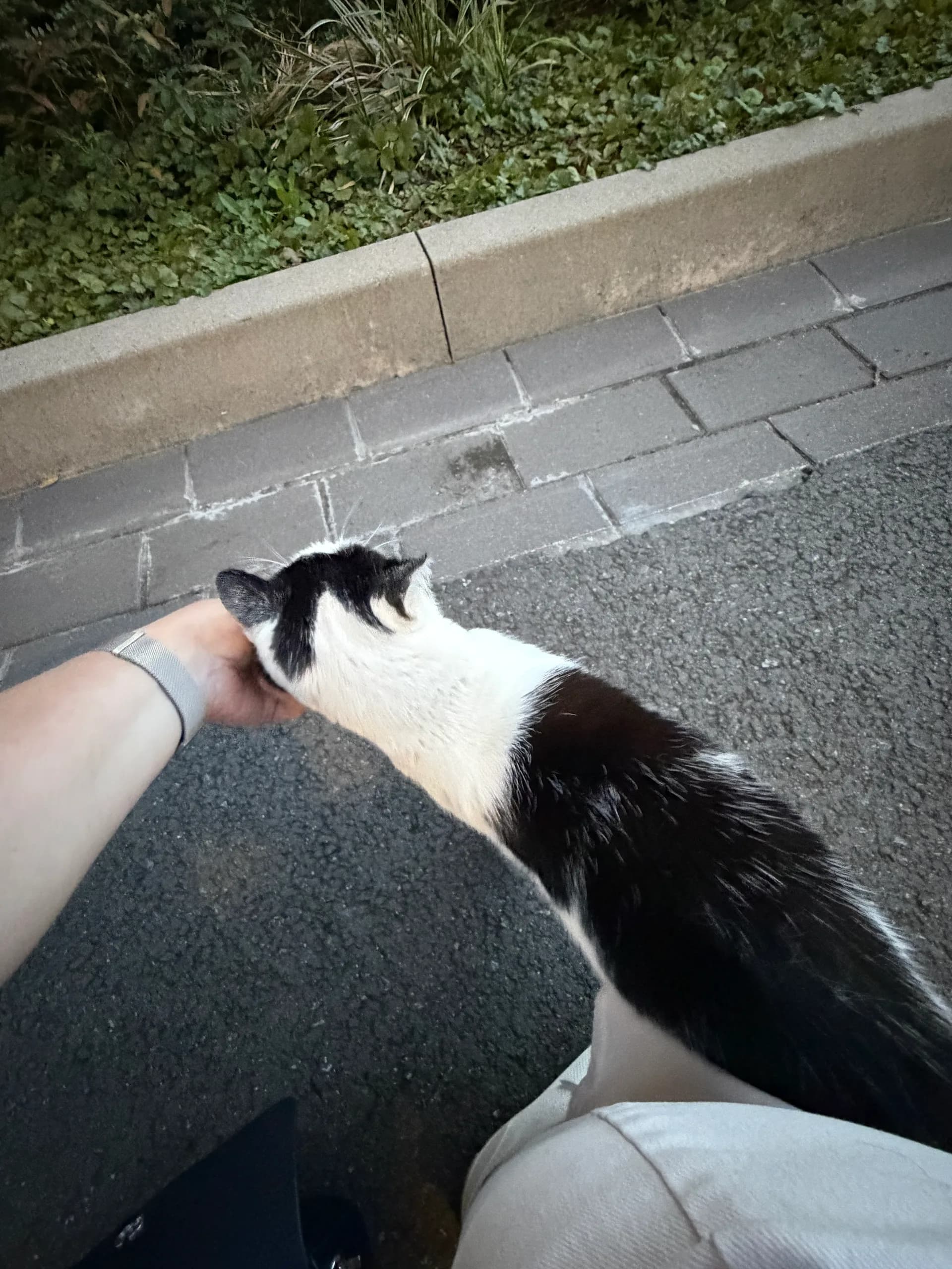 Sichtung von Uschi