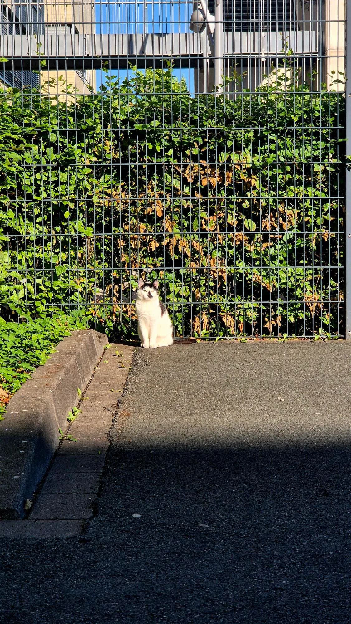 Sichtung von Uschi