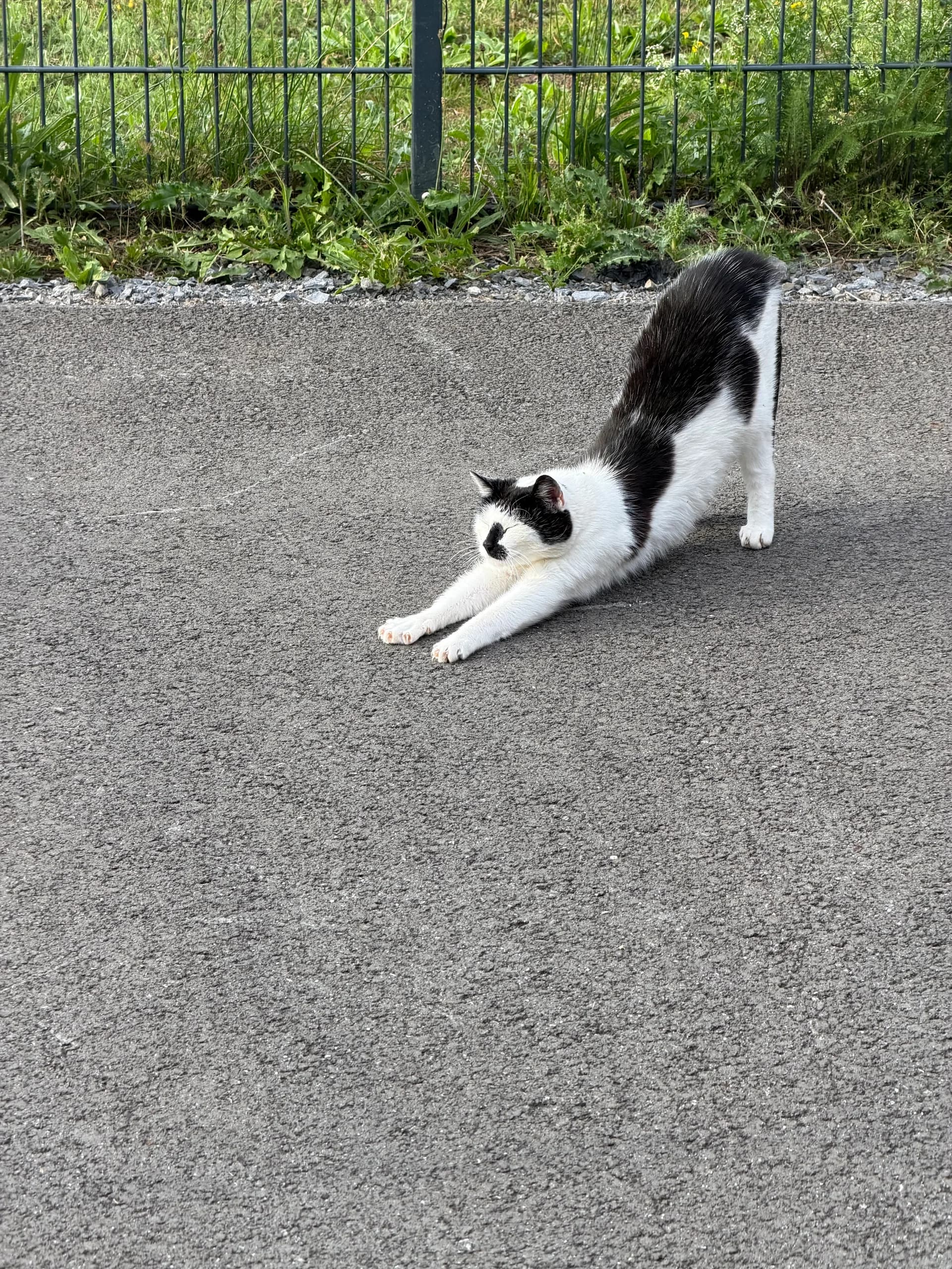 Sichtung von Uschi