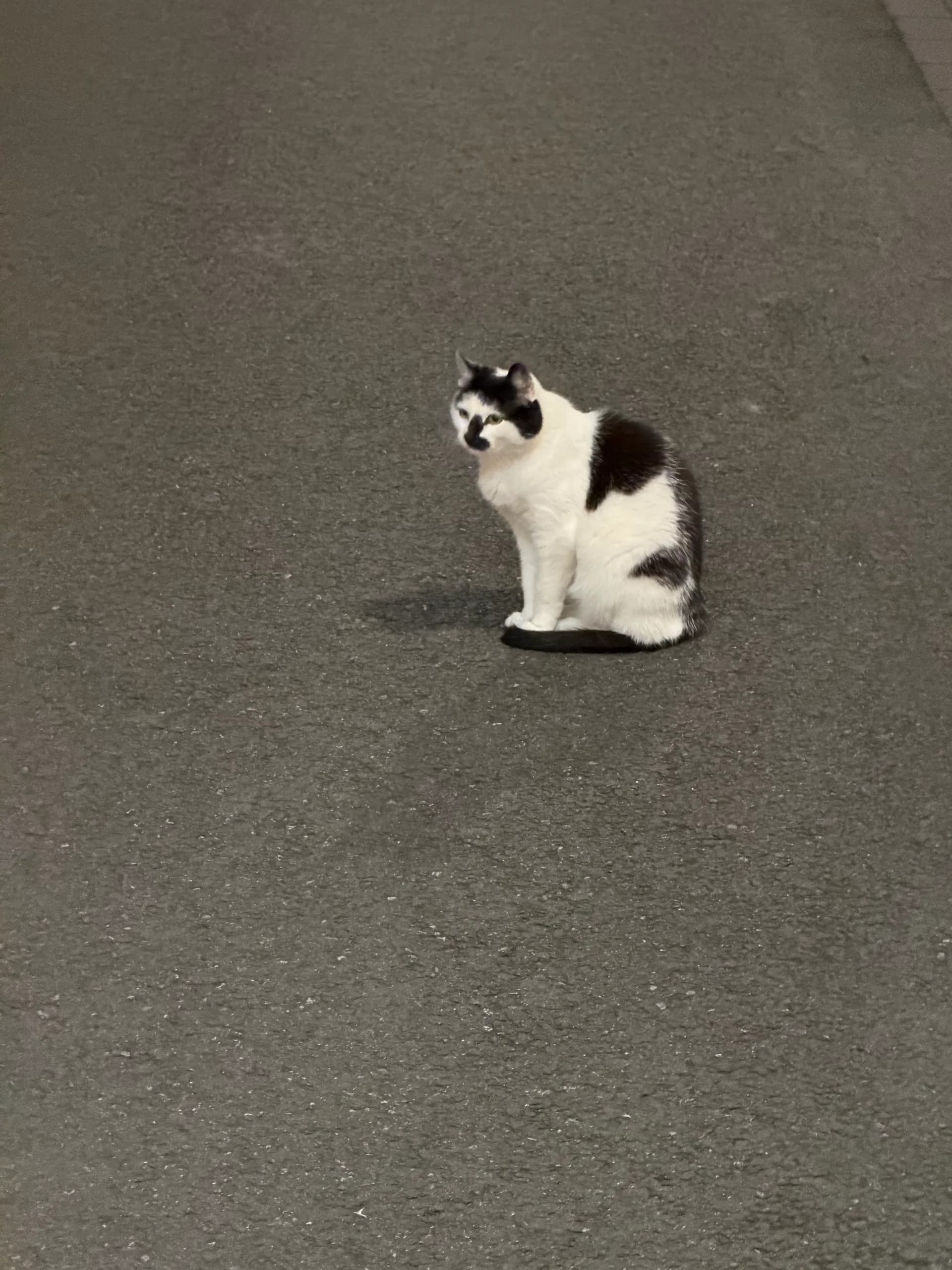Sichtung von Uschi