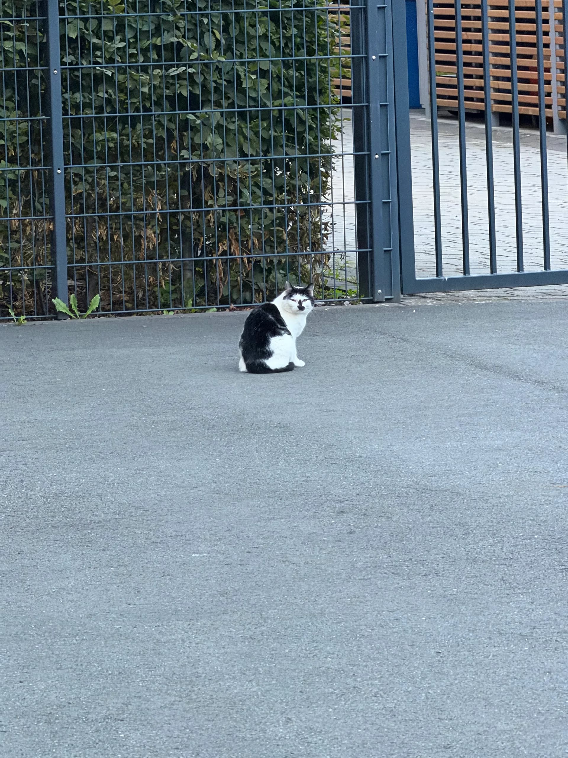 Sichtung von Uschi
