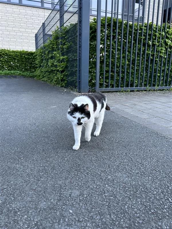 Sichtung von Uschi