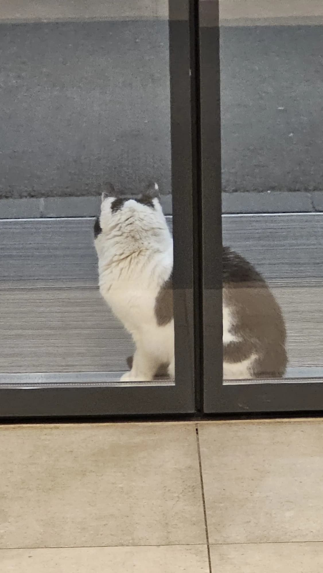 Sichtung von Uschi