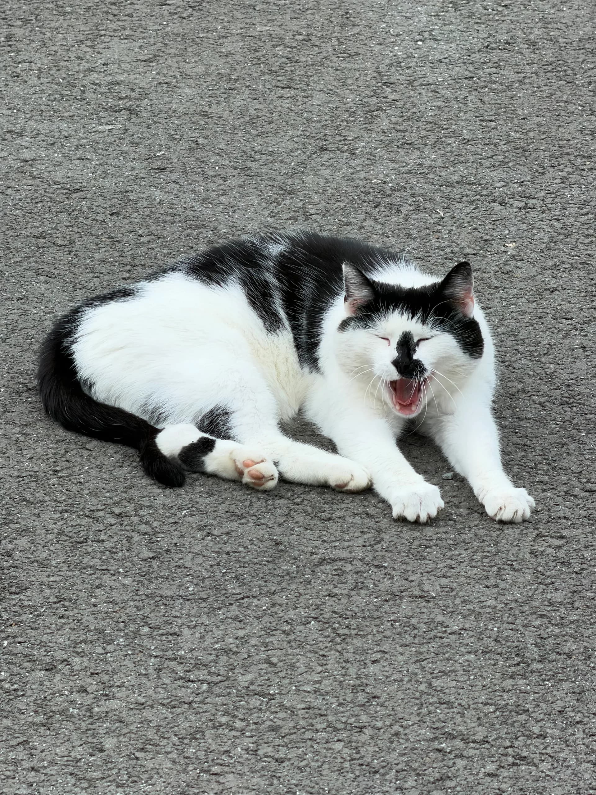 Sichtung von Uschi