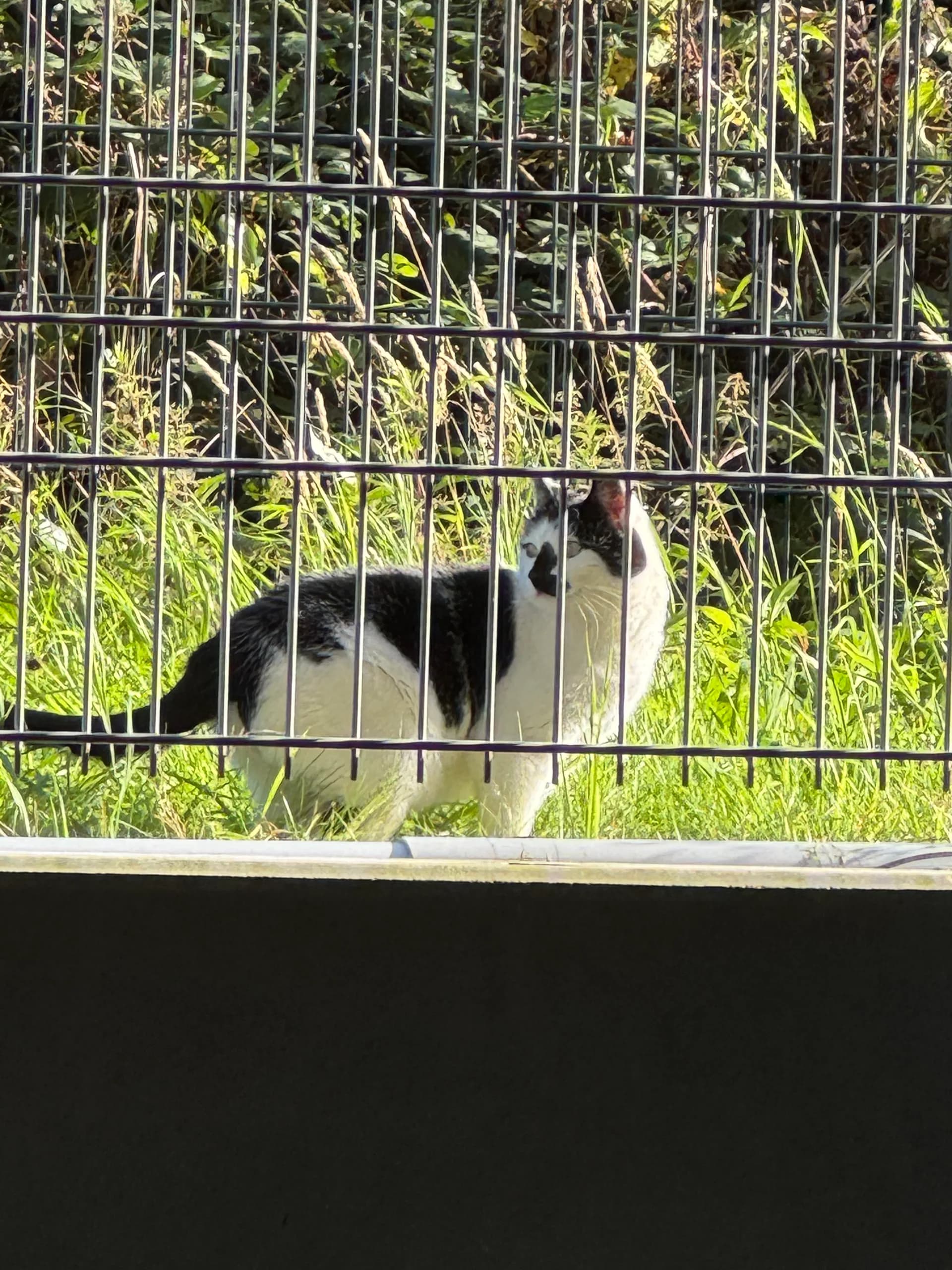 Sichtung von Uschi
