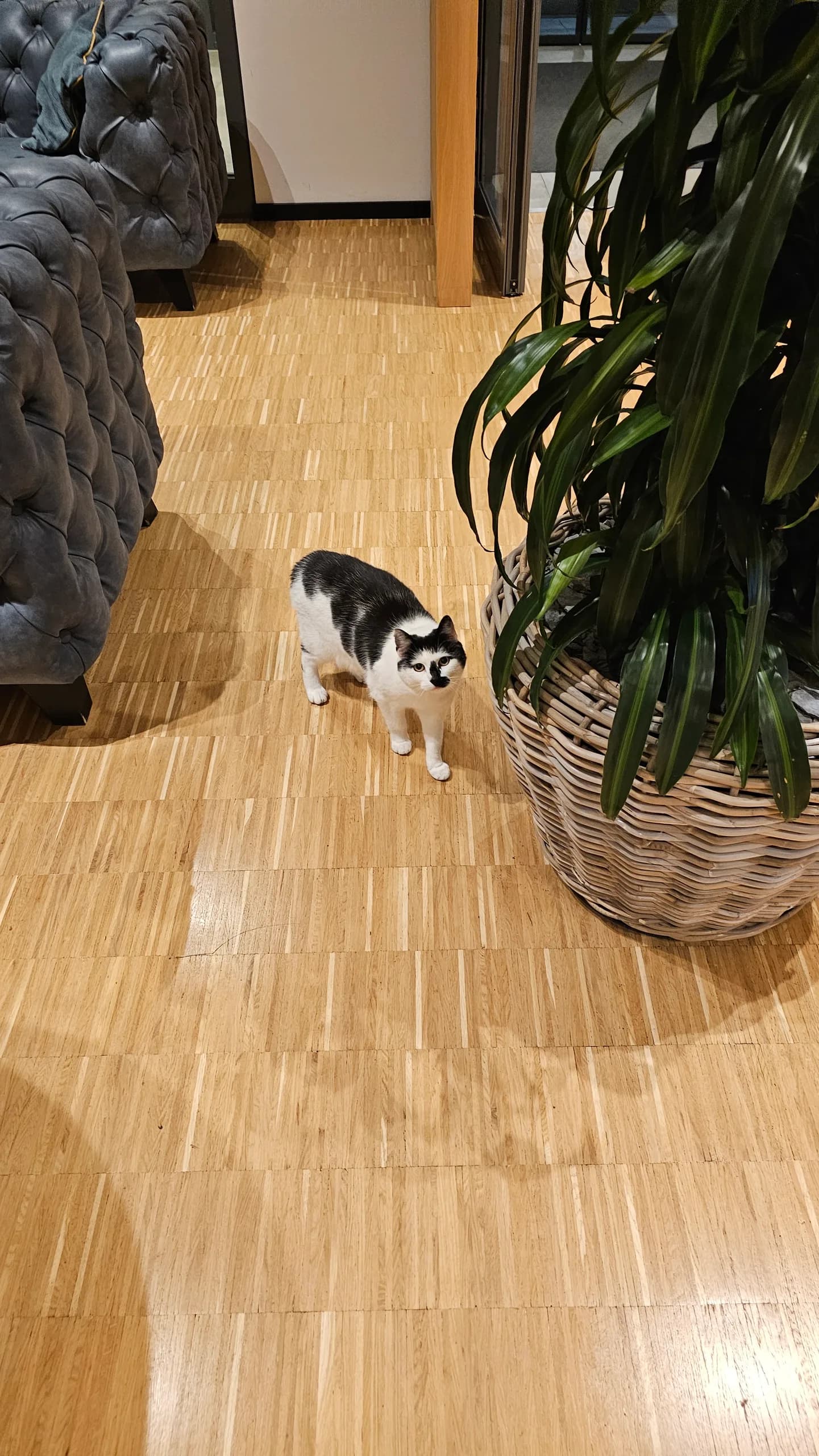 Sichtung von Uschi