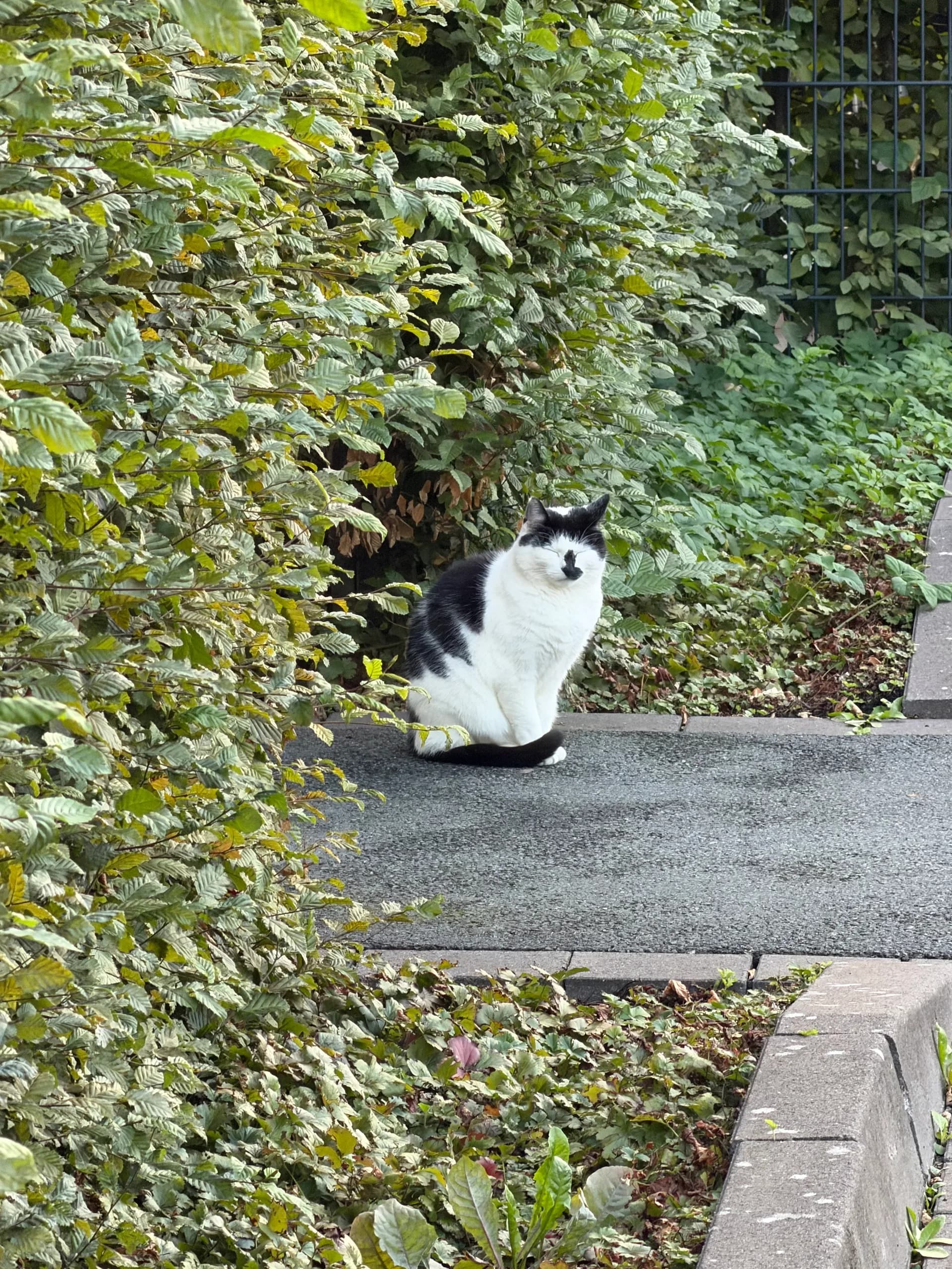 Sichtung von Uschi